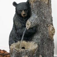 Bear - Image 4