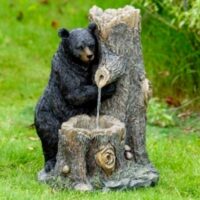 Bear - Image 5
