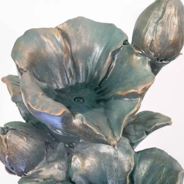 Ceku - Image 3
