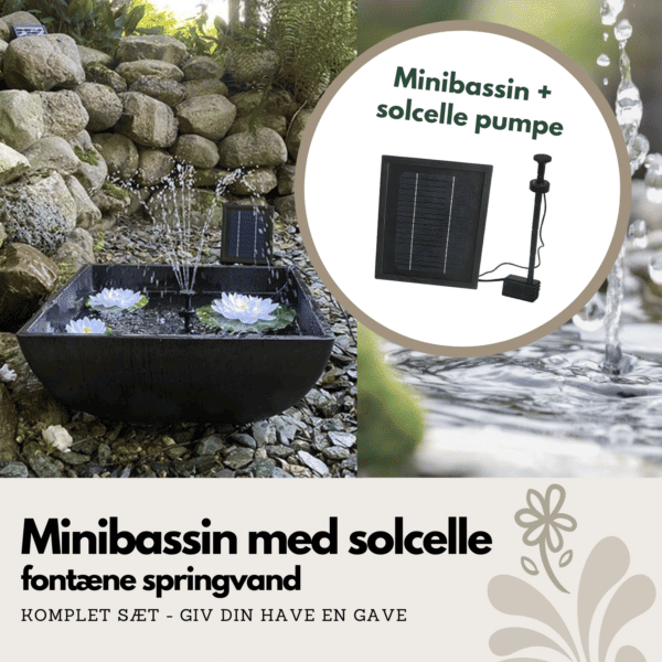 Minibassin med solcelle fontæne springvand